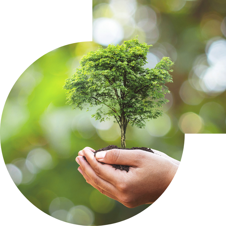 關懷人類、文化、環境與社會